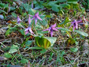 DSCN1659