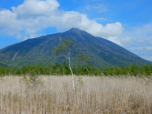DSCN0766