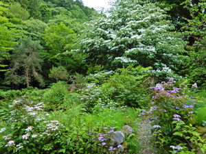 DSCN0049
