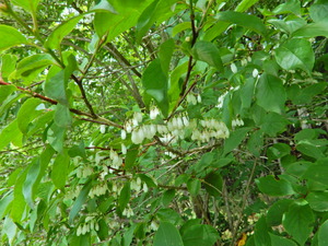 DSCN9777