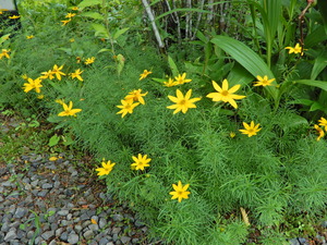 DSCN0014