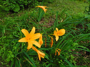 DSCN0058