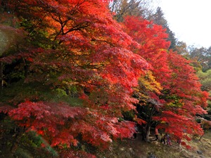 DSCN1791