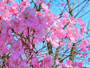 DSCN0032