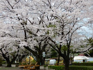 DSCN9755