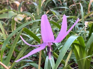 IMG_8680