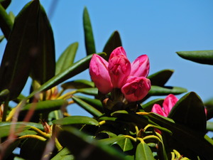 DSCN0209
