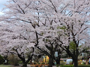 DSCN9753