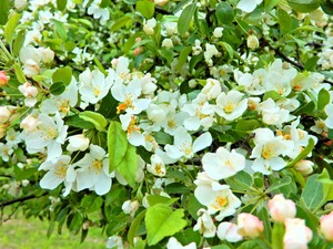 DSCN9916
