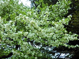 DSCN9949