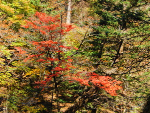 DSCN0164