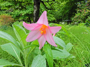 DSCN9706