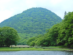 DSCN9385