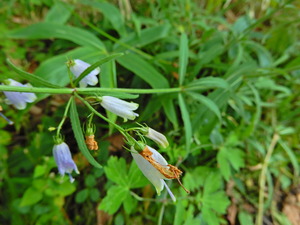 DSCN9538