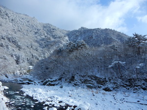 DSCN9317
