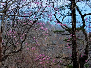 DSCN9428