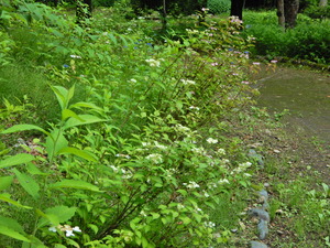 DSCN0054