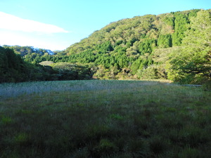 DSCN0004
