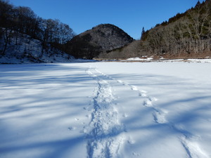 DSCN8693 - Rs[