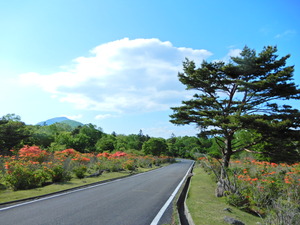 DSCN0179