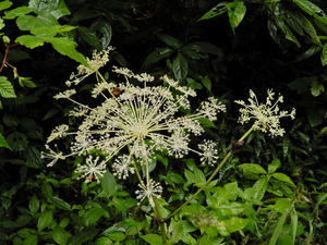 DSCN1328