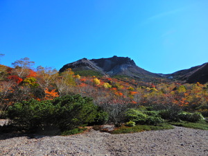 DSCN9653