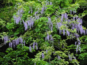 DSCN0064