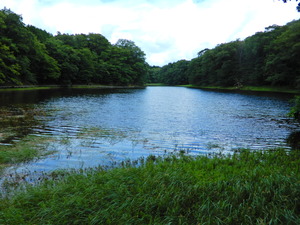 DSCN0034