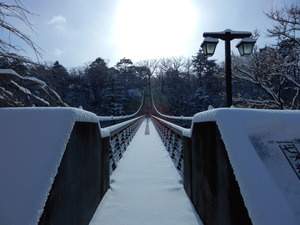 DSCN9316