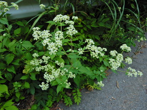 DSCN0324
