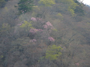 DSCN0641