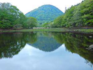 DSCN9592