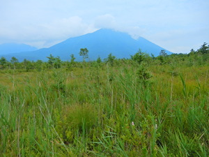 DSCN9811