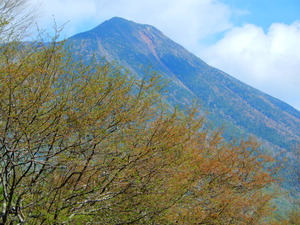 DSCN0807