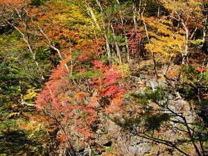 DSCN0165