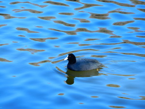 DSCN0386