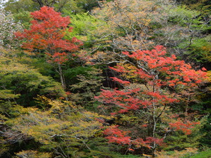 DSCN9463