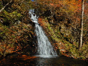 DSCN9874