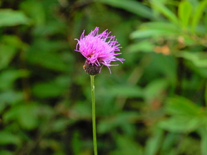 DSCN9574