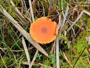 DSCN0120