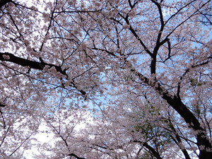 DSCN9935