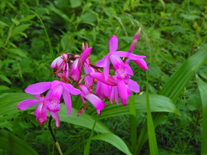 DSCN0338