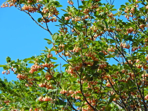 DSCN0167