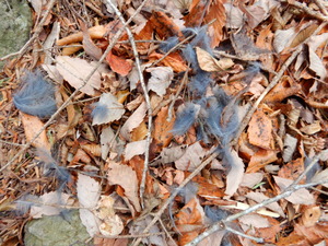 DSCN8918