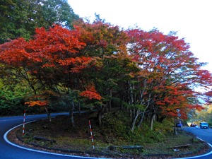 DSCN1651