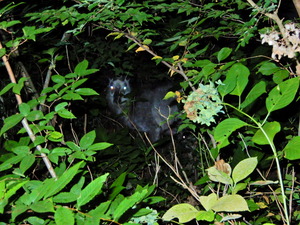 DSCN0014