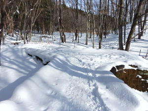 DSCN0257