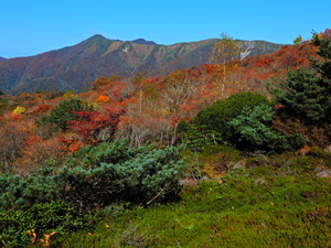 DSCN9643