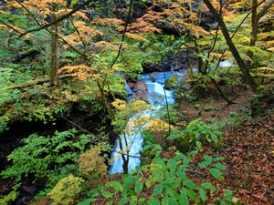 DSCN1507