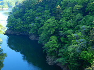 DSCN9979